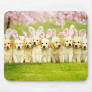 Mousepad Fila de Coelhinhos Cachorrinhos