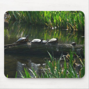 Mousepad Fileira de Tartarugas Foto Verde