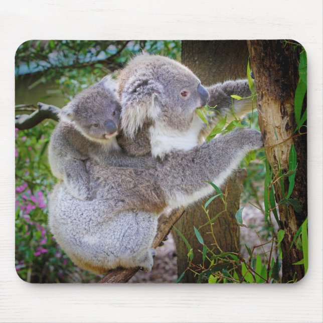 Mousepad Filho da mãe Koala (Frente)