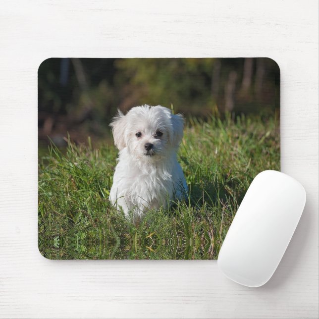 Mousepad Filhote branco fofo (Com mouse)