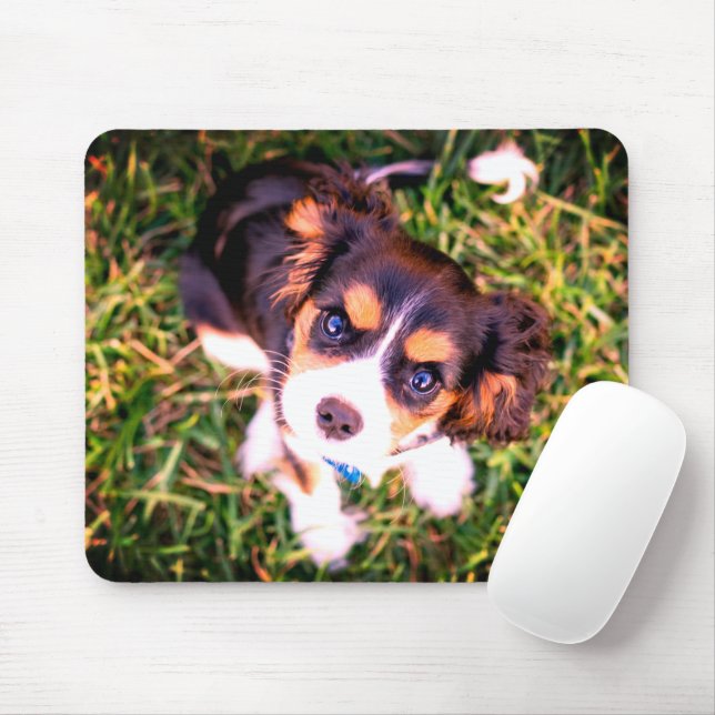 Mousepad Filhote Bravo e Branco Raivoso (Com mouse)