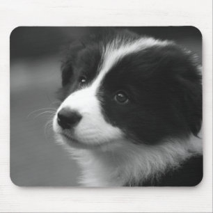 Mousepad Filhote de Border Collie