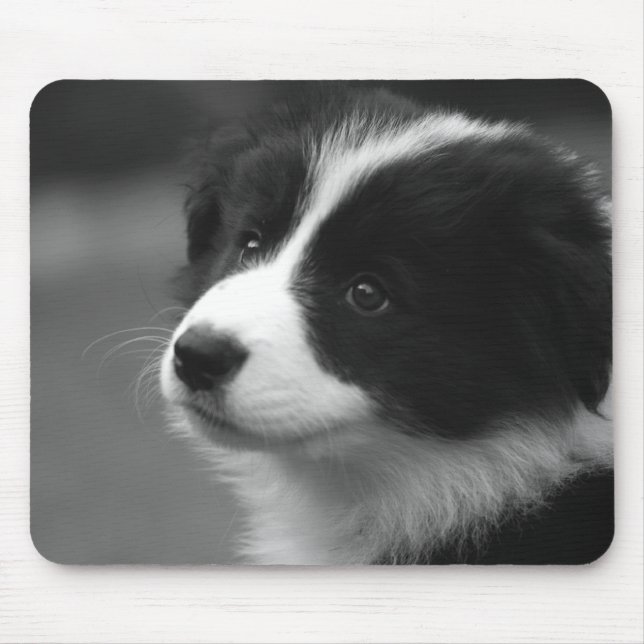 Mousepad Filhote de Border Collie (Frente)