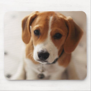 Mousepad Filhote de cachorro 2 do lebreiro