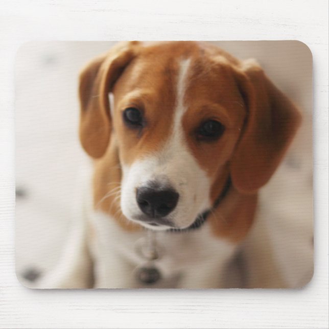 Mousepad Filhote de cachorro 2 do lebreiro (Frente)