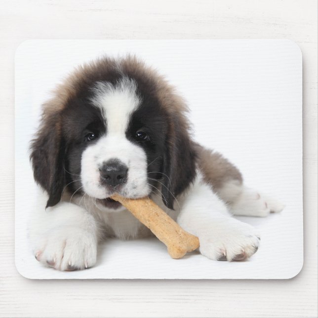 Mousepad Filhote de cachorro adorável de St Bernard que (Frente)