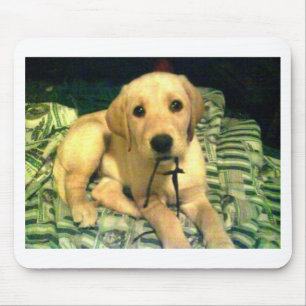 Mousepad filhote de cachorro amarelo de labrador retriever