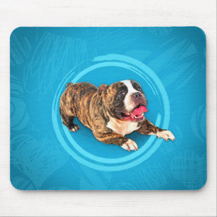 Mousepad Filhote de cachorro americano da intimidação