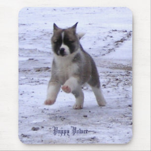 Mousepad Filhote de cachorro de Akita