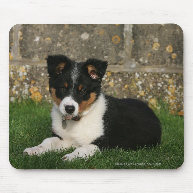 Mousepad Filhote de cachorro de border collie com a folha (Frente)