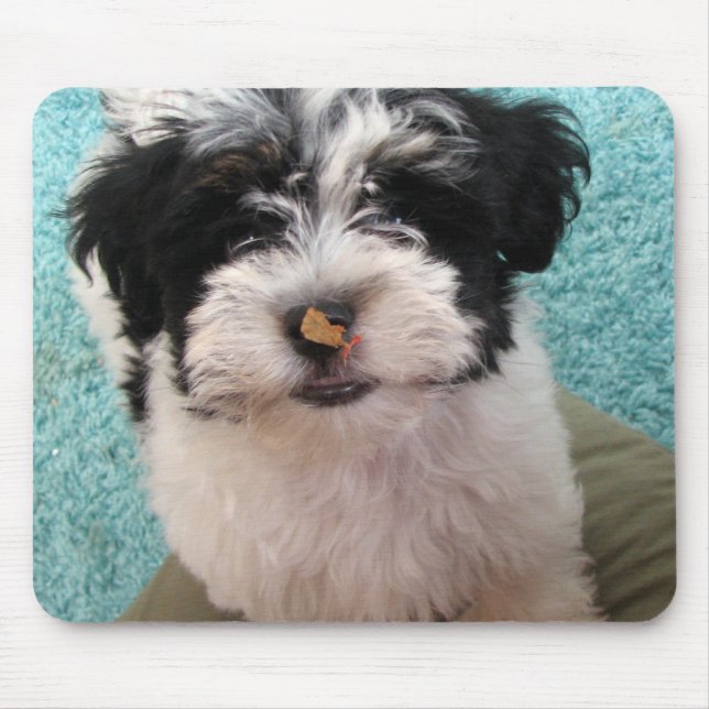 Mousepad Filhote de cachorro de Havanese (Frente)