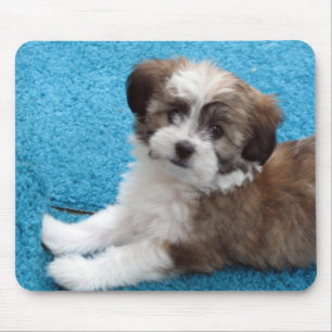 Mousepad Filhote de cachorro de Havanese - personalizado