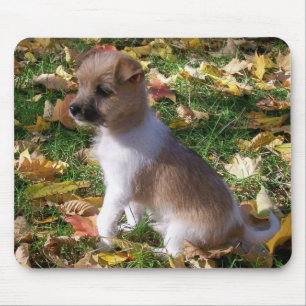 Mousepad Filhote de cachorro de Jack Russell