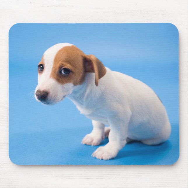 Mousepad Filhote de cachorro de Jack Russell (Frente)