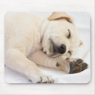 Mousepad Filhote de cachorro de Labrador