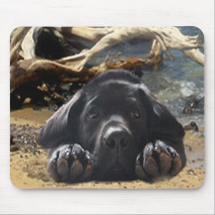 Mousepad Filhote de cachorro de labrador retriever na praia