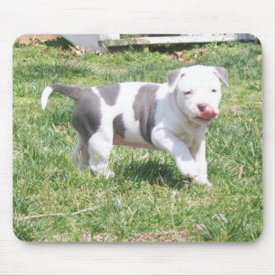 MOUSEPAD FILHOTE DE CACHORRO DE PITBULL