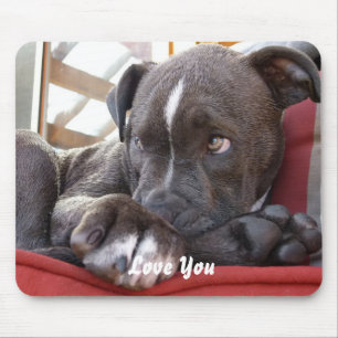 Mousepad Filhote de cachorro de Pitbull do bebê
