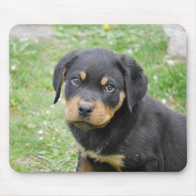 Mousepad Filhote de cachorro de Rottweiler (Frente)