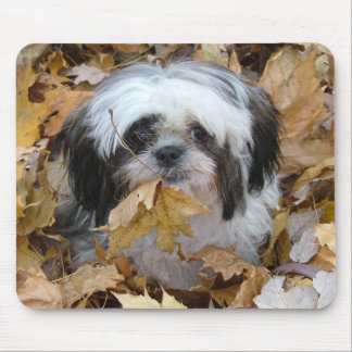 Mousepad filhote de cachorro de shih-tzu