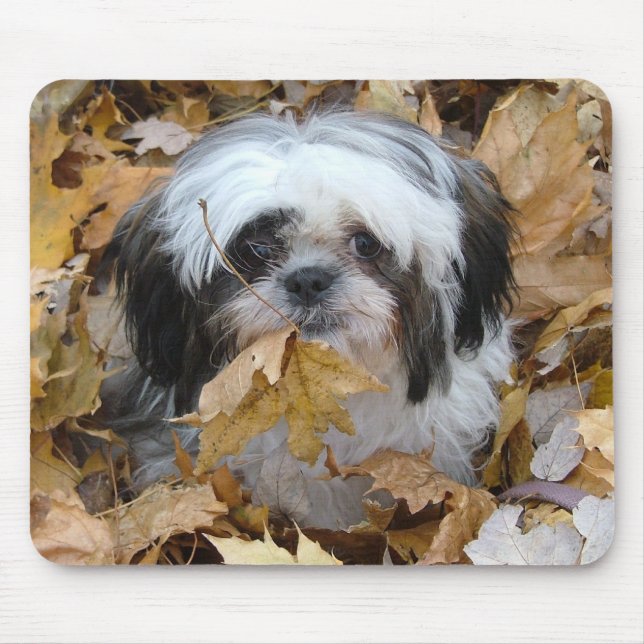 Mousepad filhote de cachorro de shih-tzu (Frente)