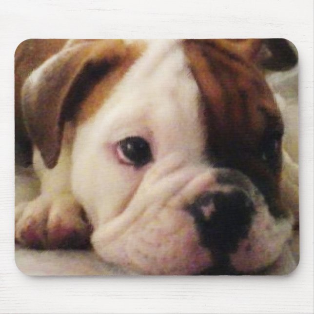 Mousepad Filhote de cachorro do buldogue (Frente)
