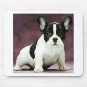 Mousepad Filhote de cachorro do buldogue de