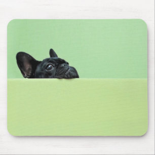 Mousepad Filhote de cachorro do buldogue francês que
