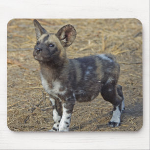 Mousepad Filhote de cachorro do cão selvagem