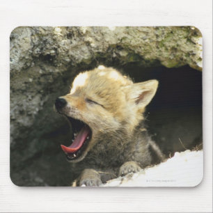 Mousepad Filhote de cachorro do chacal que boceja