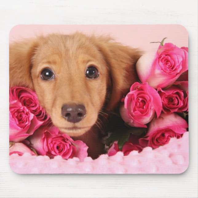Mousepad Filhote de cachorro do Dachshund cercado por rosas (Frente)