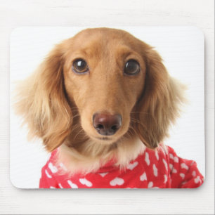 Mousepad Filhote de cachorro do Dachshund que veste o