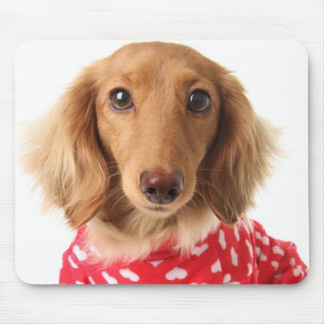 Mousepad Filhote de cachorro do Dachshund que veste o (Frente)
