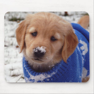 Mousepad Filhote de cachorro do golden retriever