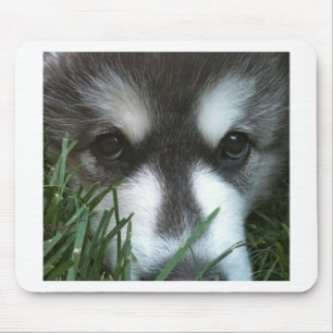 Mousepad Filhote de cachorro do Malamute do Alasca