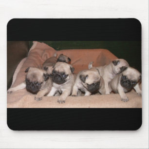 Mousepad filhote de cachorro do pug