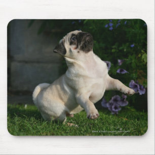 Mousepad Filhote de cachorro do Pug da jovem corça