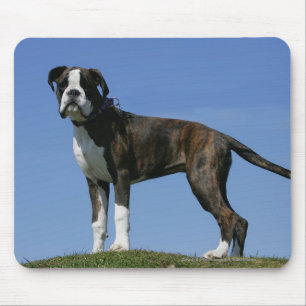 Mousepad Filhote de cachorro do pugilista do bebê de três