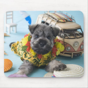 Mousepad Filhote de cachorro do Schnauzer diminuto e féria