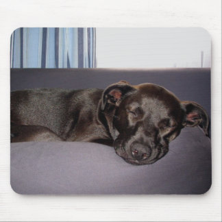 Mousepad Filhote de cachorro do sono