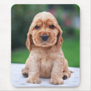 Mousepad Filhote de cachorro do Spaniel de Coker