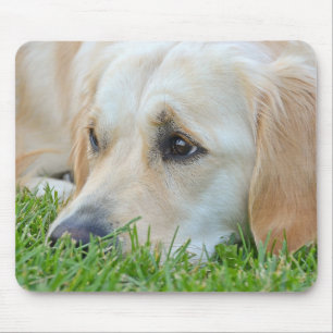 Mousepad Filhote de cachorro dourado