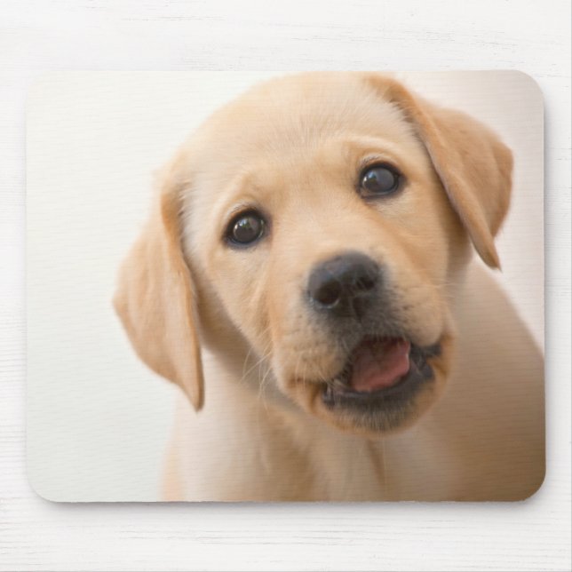 Mousepad Filhote de cachorro dourado de Labrador (Frente)