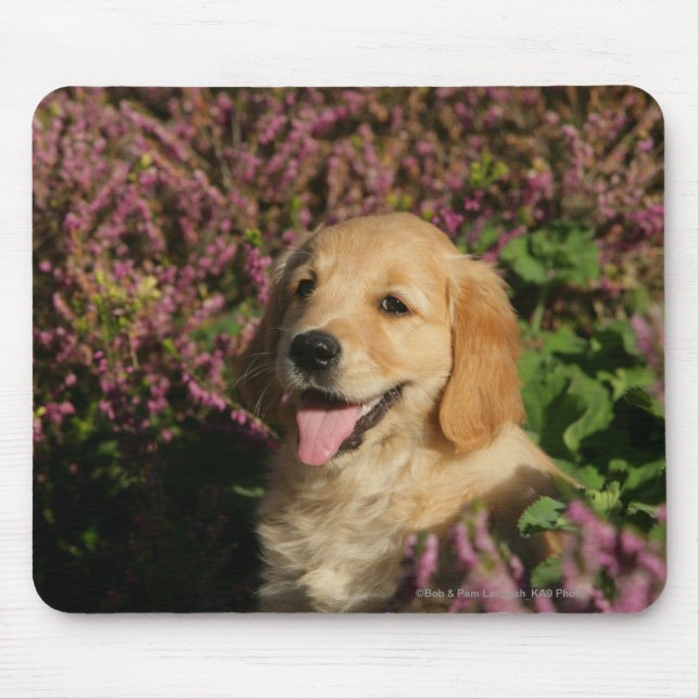 Mousepad Filhote de cachorro dourado de Retreiver (Frente)