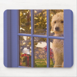 Mousepad Filhote de cachorro dourado do Doodle que olha