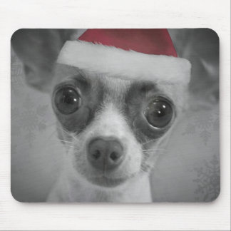 Mousepad Filhote de cachorro engraçado da chihuahua do