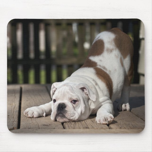 Mousepad Filhote de cachorro inglês do buldogue (Frente)