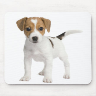 Mousepad Filhote de cachorro Jack russell