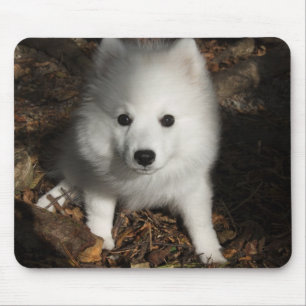 Mousepad Filhote de cachorro japonês do Spitz