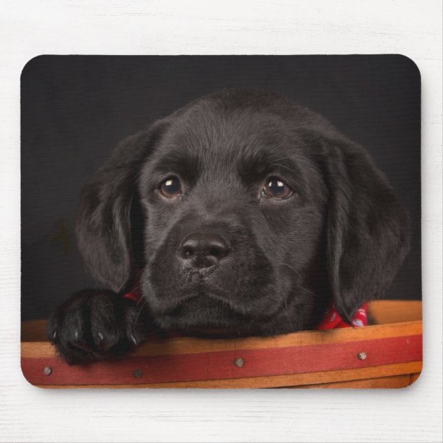 Mousepad Filhote de cachorro preto de labrador retriever em (Frente)